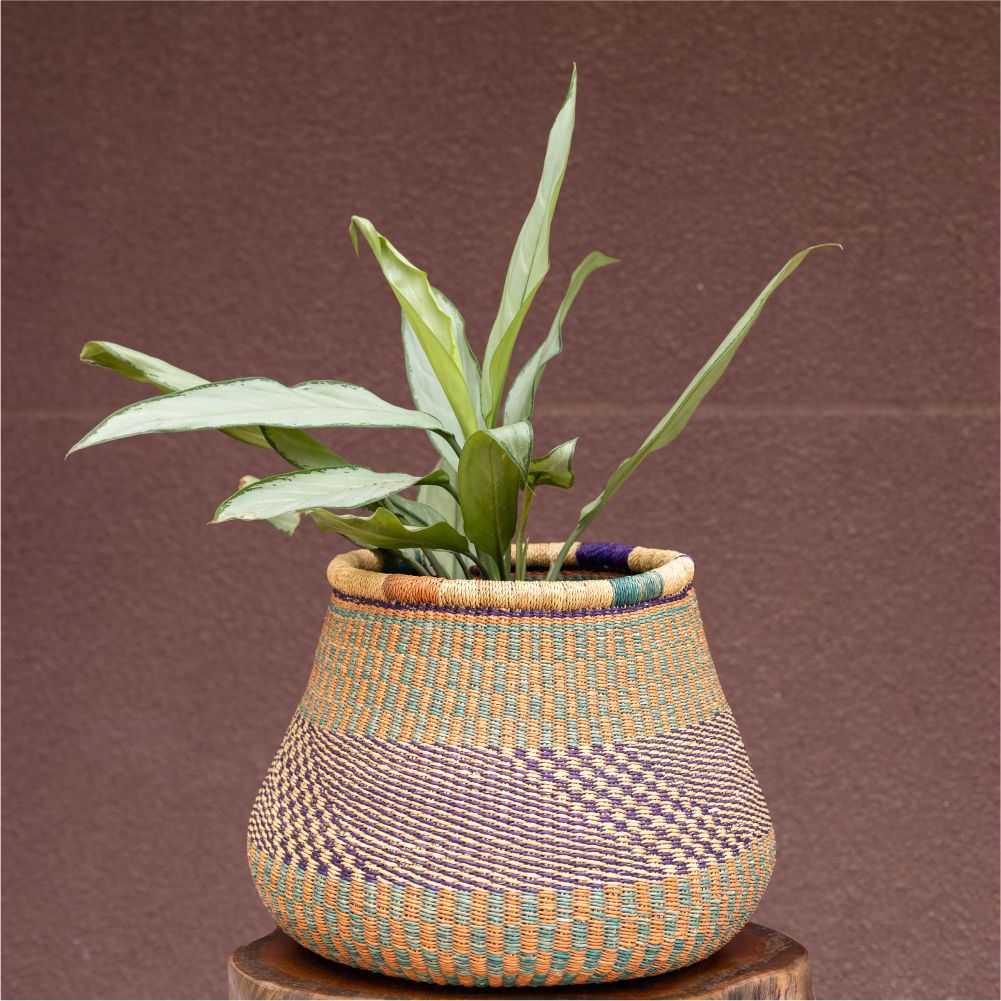 Large Checkerboard handcrafted Pot Flower and Plant Basket