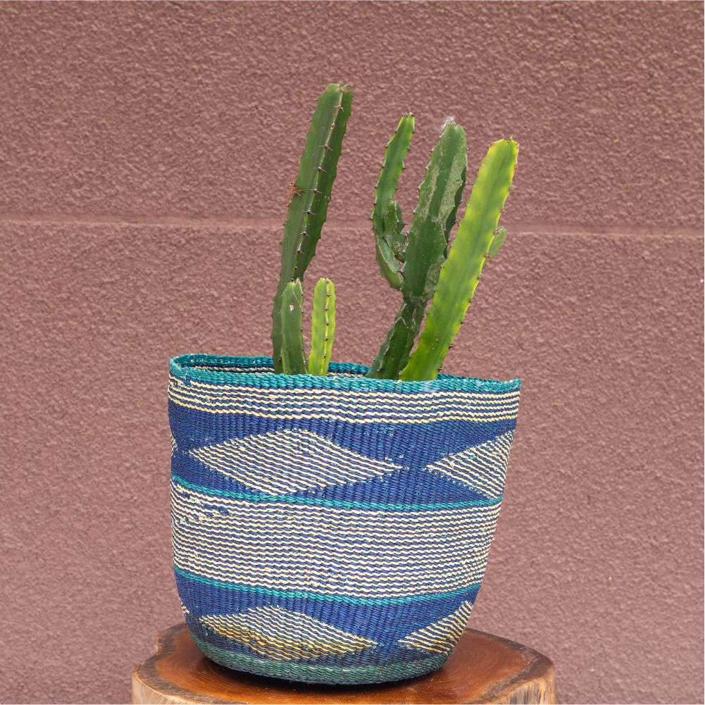 Hand-woven African Plant and storage basket