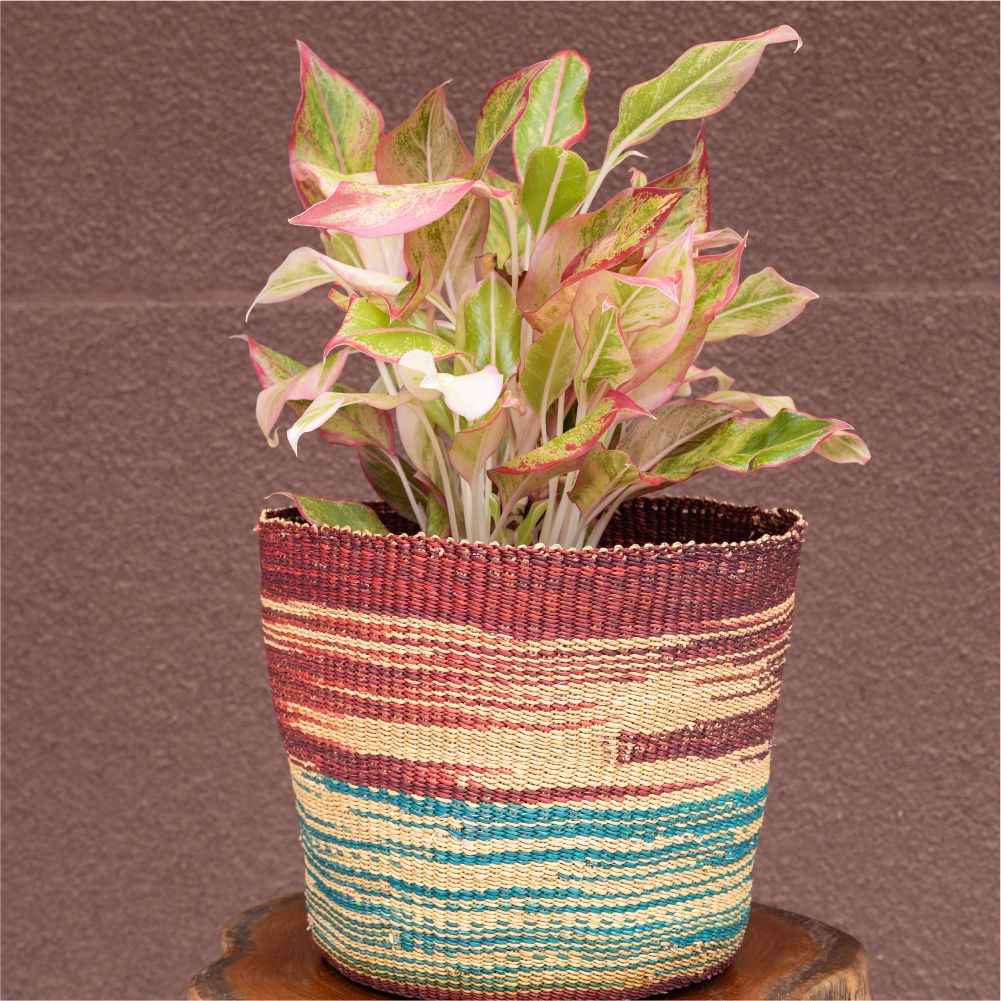 Handwoven Colourful African Flower Bowl and Storage Basket - Set of 2